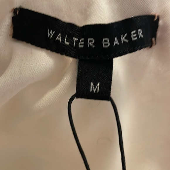 Walter Baker Ivory Dress Sheer Tulle Embroidered Lining NWT Straps Adjust Size M - Picture 9 of 10